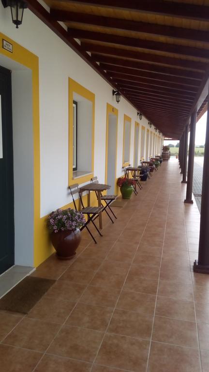 Agro-Turismo Do Roxo Guest House Ervidel Eksteriør bilde